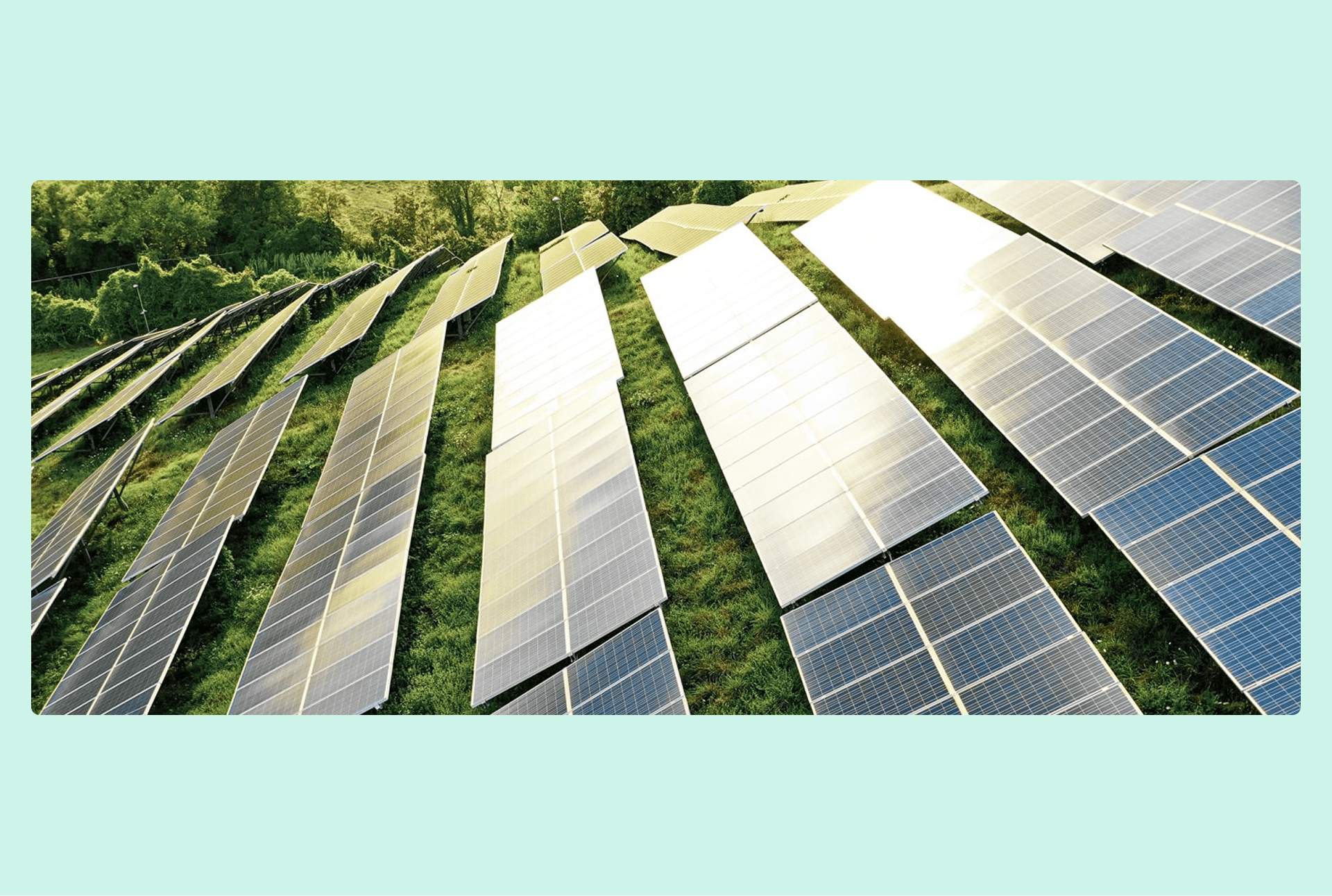 Solar farm with solar panels with grass