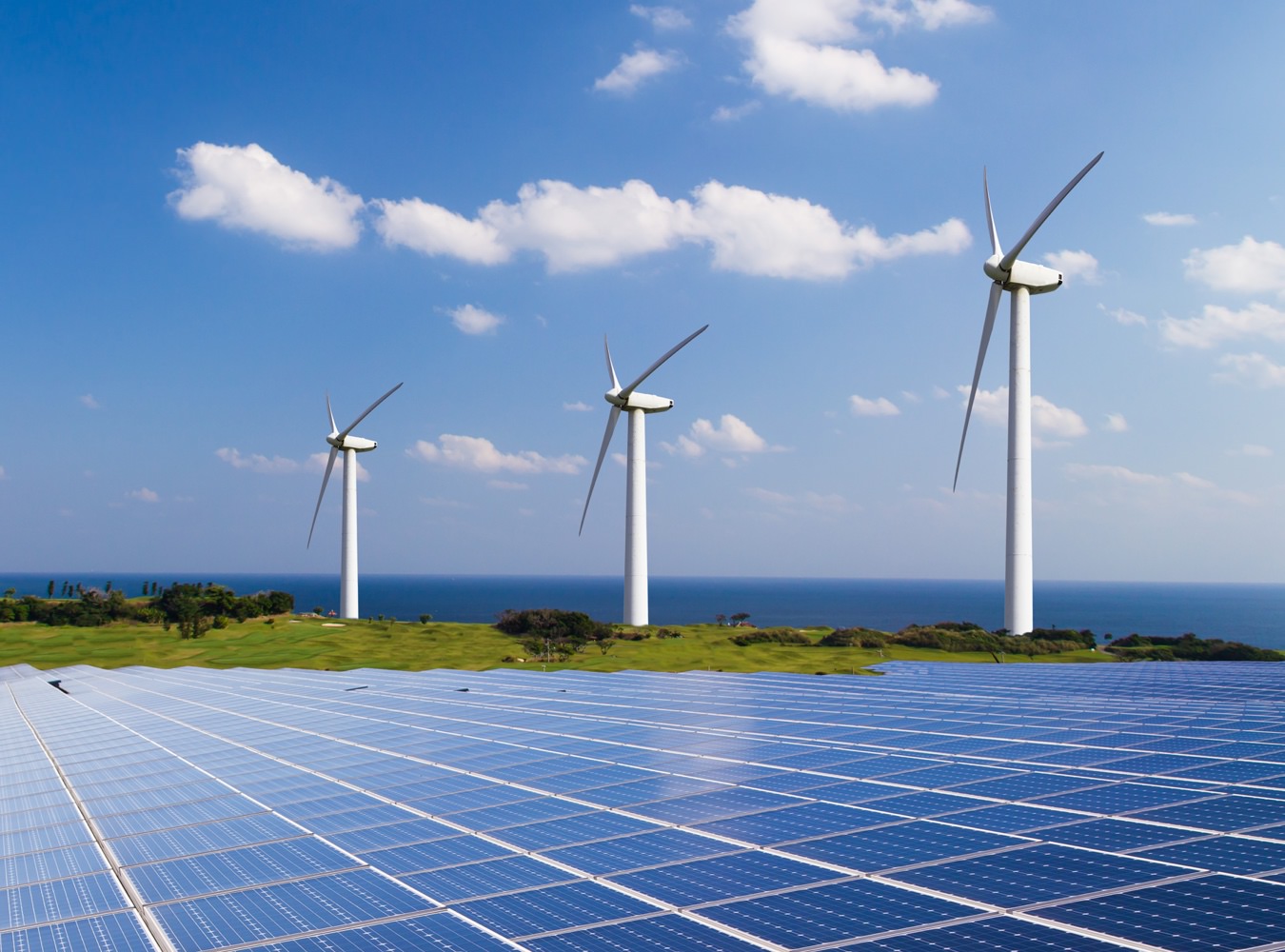 Solar park with wind turbines